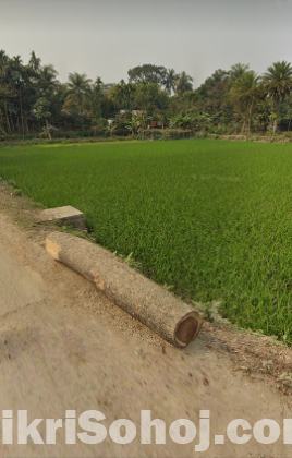 বাড়ি করার উপযোগী জমি বিক্রয়